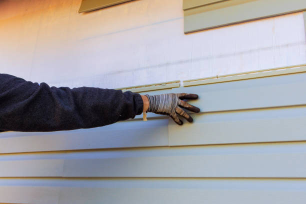 Best Storm Damage Siding Repair  in Hilton Head Island, SC